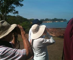 Follow That Bird - Queensland Tourism 0