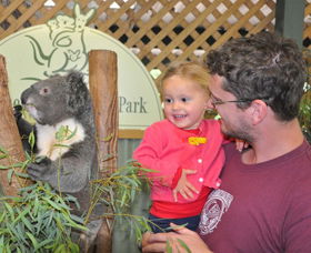 Blue Diamond Tours - Queensland Tourism 0