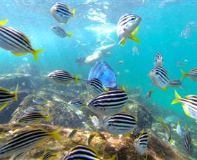 EcoTreasures - QLD Tourism 0