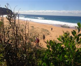 EcoTreasures - QLD Tourism 2