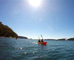 EcoTreasures - QLD Tourism 4