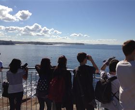 EcoTreasures - QLD Tourism 3