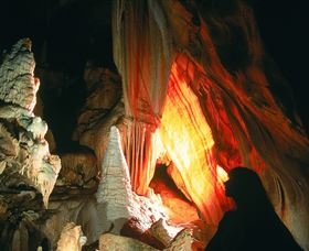 Cloud9 Tours - Queensland Tourism 3