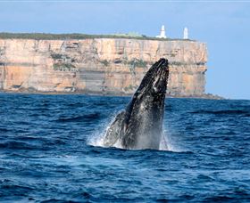 Cloud9 Tours - Queensland Tourism 4
