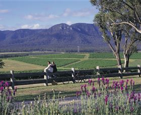 Cloud9 Tours - Queensland Tourism 7