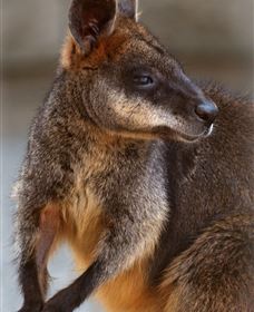 Go Beyond Tours - Queensland Tourism 2