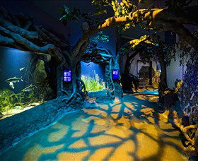 SEA LIFE Sydney Aquarium - Queensland Tourism 2