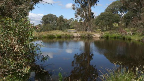Cooleman Ridge - QLD Tourism 3