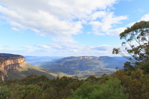 Dingo Travel - Queensland Tourism 1