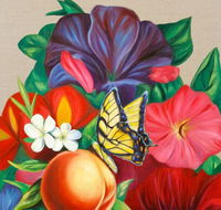 Iain Dawson Gallery - Queensland Tourism