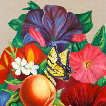 Iain Dawson Gallery - Queensland Tourism 0