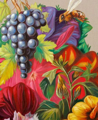 Iain Dawson Gallery - Queensland Tourism 1