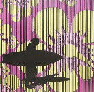 Iain Dawson Gallery - Queensland Tourism 2