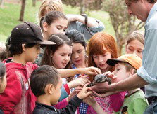 Blackbutt Reserve - QLD Tourism 2