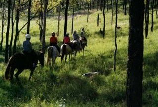 Hunter Valley Horse Riding And Adventures - Queensland Tourism 0
