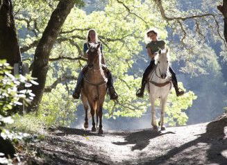 Hunter Valley Horse Riding And Adventures - Queensland Tourism 1