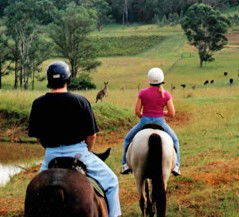 Hunter Valley Horse Riding And Adventures - Queensland Tourism 3