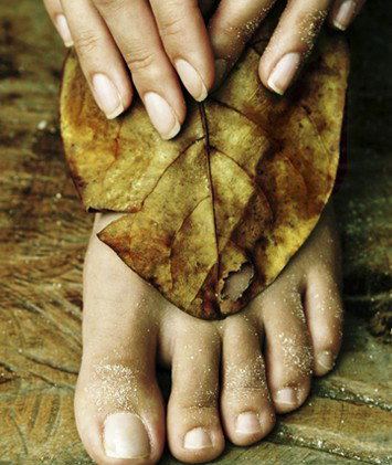 Royal Day Spa - QLD Tourism 7