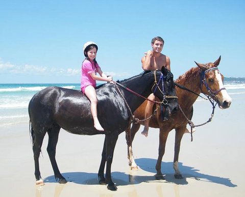Pegasus Park Equestrian Centre - QLD Tourism 1