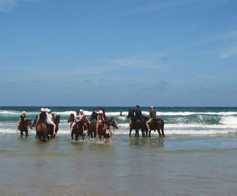 Pegasus Park Equestrian Centre - QLD Tourism 2