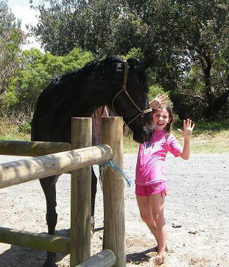 Pegasus Park Equestrian Centre - QLD Tourism 3