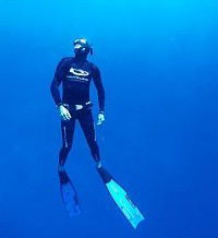 Byron Bay Dive Centre - Queensland Tourism 1
