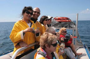 Byron Bay Dolphin Wildlife Tours - Queensland Tourism 2