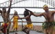 Tribal Warrior Harbour Cruises - thumb 1