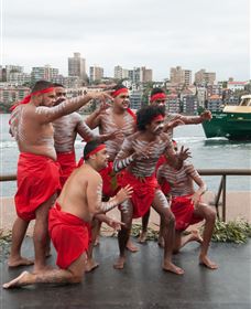 Tribal Warrior Harbour Cruises - Queensland Tourism 2