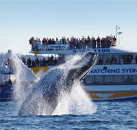 Bass  Flinders Cruises - Queensland Tourism