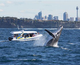 Bass & Flinders Cruises - Queensland Tourism 2