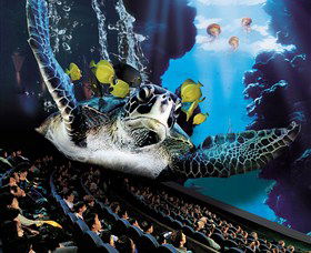 IMAX Theatre Sydney - Queensland Tourism 0