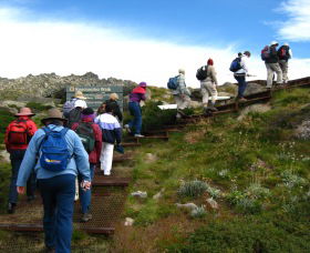 High Country Motel Tours - Queensland Tourism 2