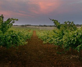 Wine Class - Queensland Tourism 0
