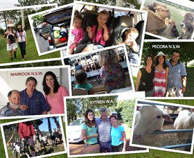 The NSW Cheese Tour - Queensland Tourism 0