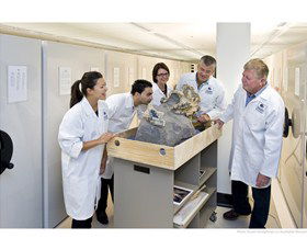 Behind The Scenes Tours At Australian Museum - Queensland Tourism 0