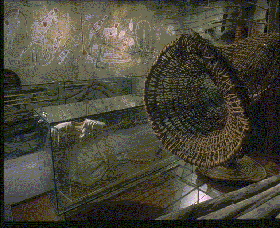 Australian Museum - Queensland Tourism 3