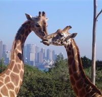 Planetdwellers - Gay and Lesbian Tours of Australia - Queensland Tourism