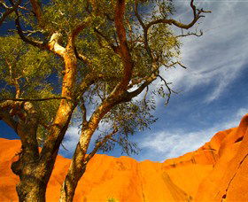 The Artery Aboriginal Art - Queensland Tourism 2