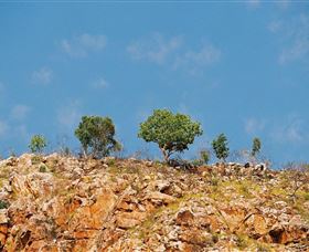 The Aperture Club - Queensland Tourism 3
