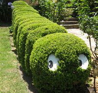Nutcote - May Gibbs' Home - House Museum - Queensland Tourism