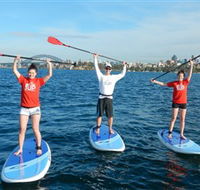 Sydney Scenic SUP - Stand Up Paddle Tours - Queensland Tourism