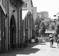 Centennial Stables - Queensland Tourism