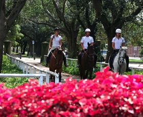 Centennial Parklands Horse Ride - Queensland Tourism 1