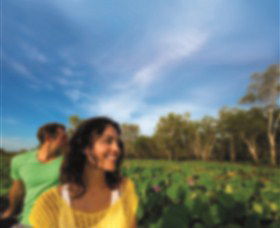 AAT Kings Guided Tours (Top End) - QLD Tourism 3