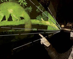 After Dark Nature Tours - QLD Tourism 0