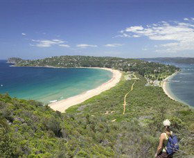 Palm Beach - Queensland Tourism 7