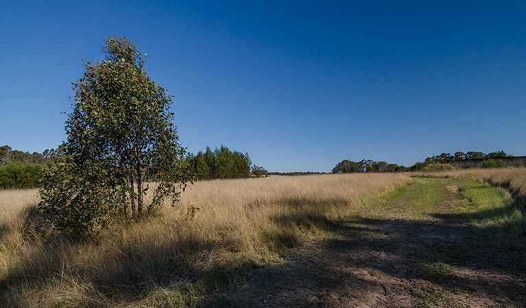 Oakville NSW QLD Tourism