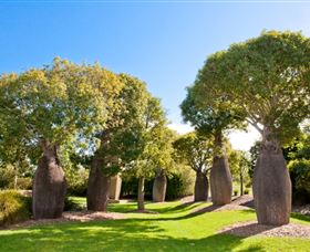 Mt Penang Gardens - QLD Tourism 0