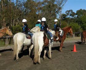 Darkes Forest Riding Ranch - Queensland Tourism 0